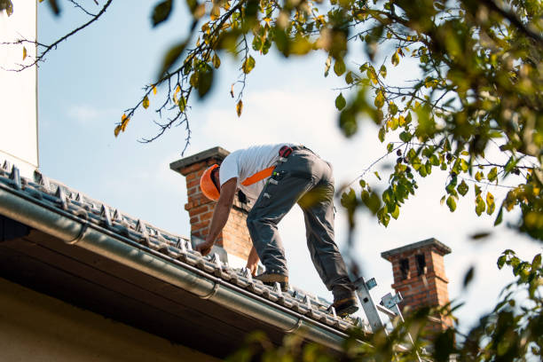 Best Metal Roofing Contractor  in Barnsdall, OK